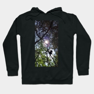 Hitching a Ride Hoodie